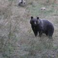 SLOVENIE-20210901-175752-IMG 0806