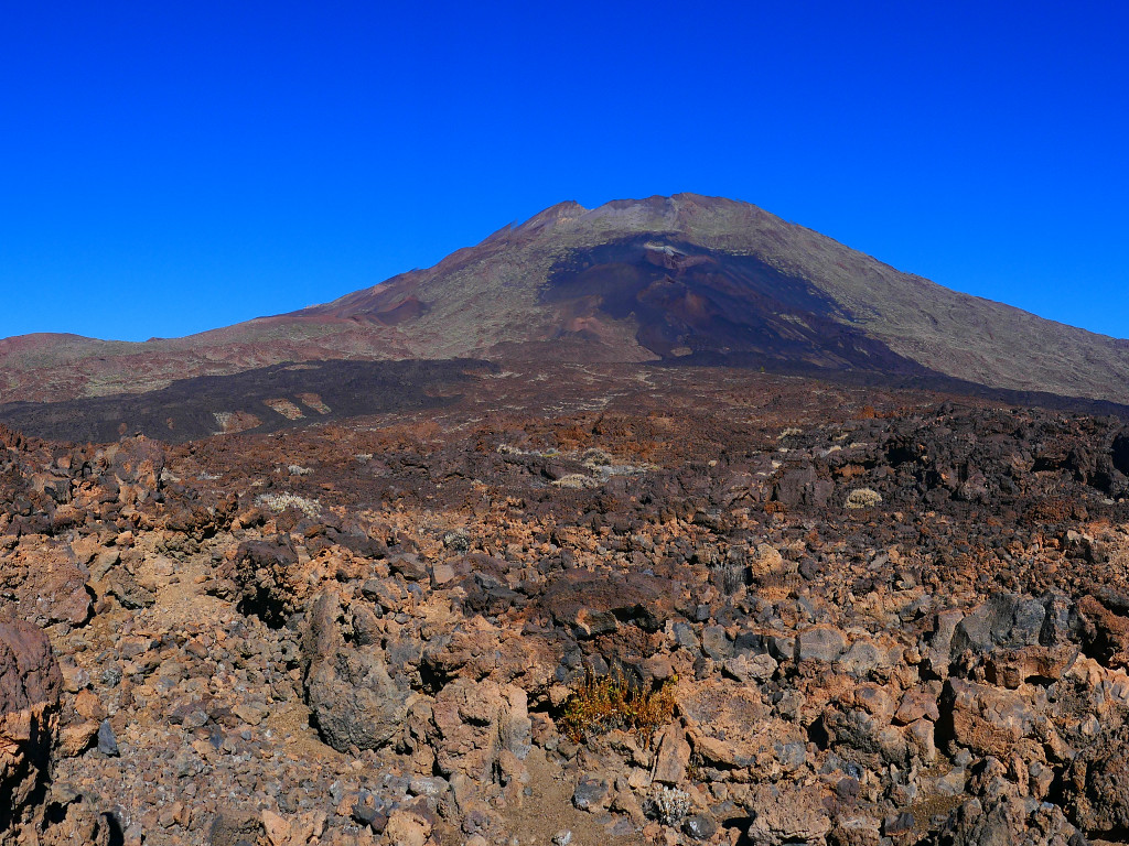 Canaries-20211228-231012-P1050844