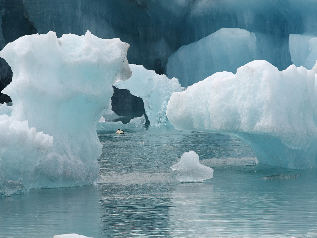 Iceland-20220611-145036-IMG 0904 1