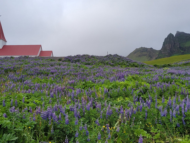 Iceland-20220612-183517-20220612 183517