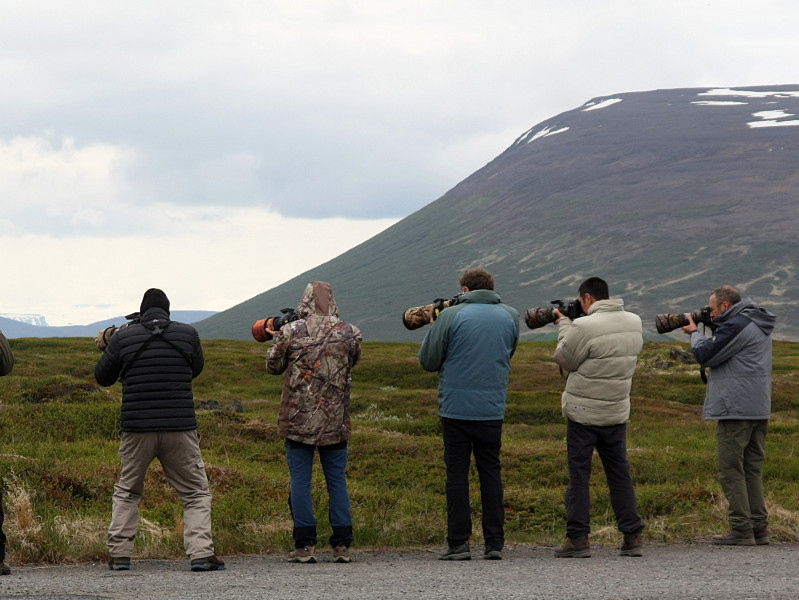 Iceland-20220607-142018-IMG 0654 1