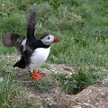 Iceland-20220609-193918-IMG 0760 1