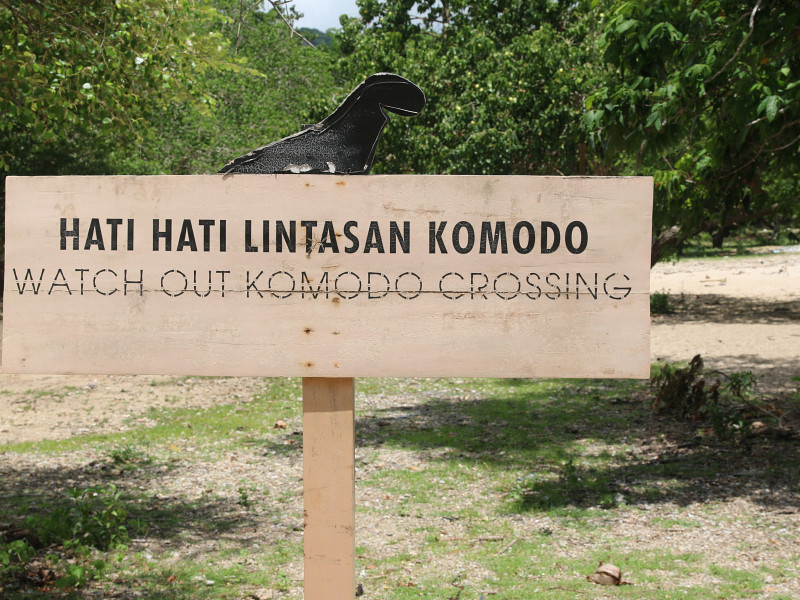 Indonesie-20230107-124155-IMG 4124