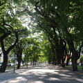Argentine-20241216-174939-IMG 8592