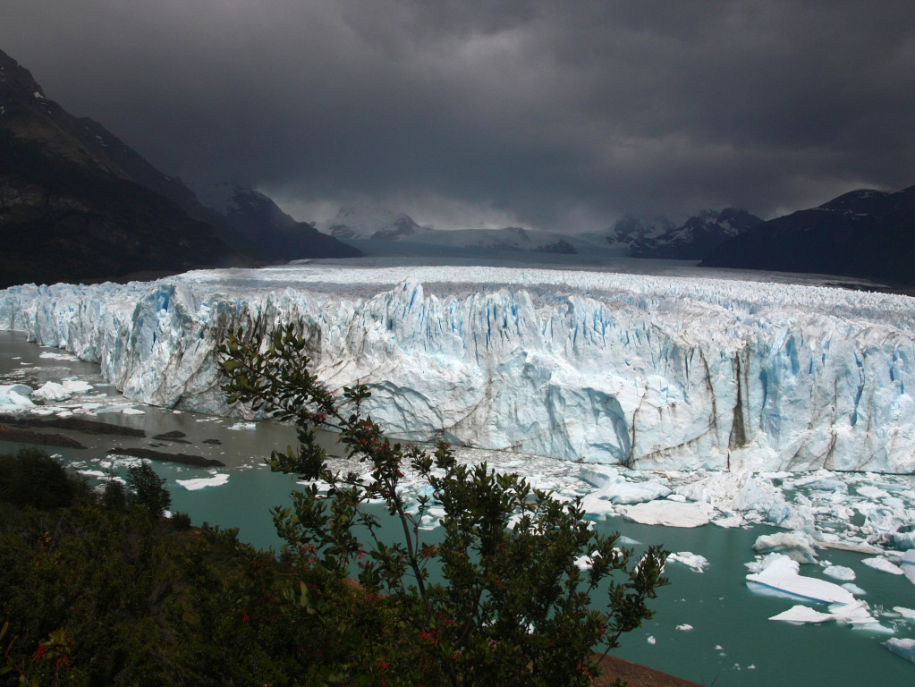 Argentine-20241224-115421-IMG 5876 1