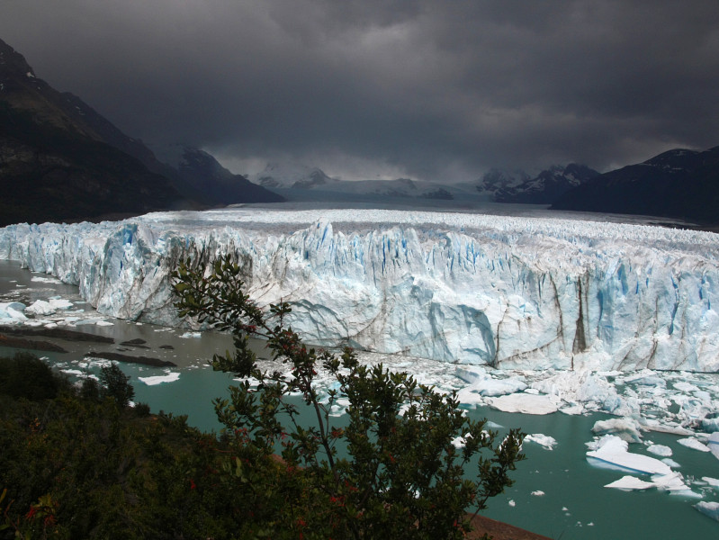 Argentine-20241224-115421-IMG 5876 1