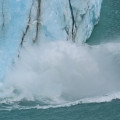 Argentine-20241224-115628-IMG 9611