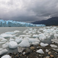Argentine-20241224-143806-IMG 9729 1
